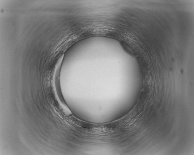 X0000053060744200508081153