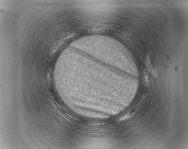 X0000053060746200508081153