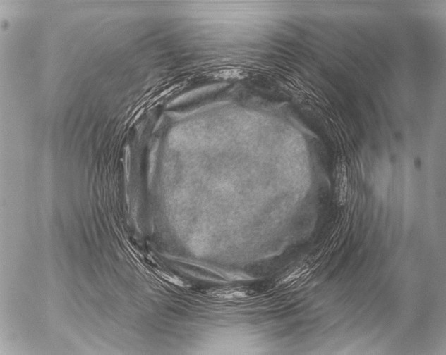 X0000053060747200508081153