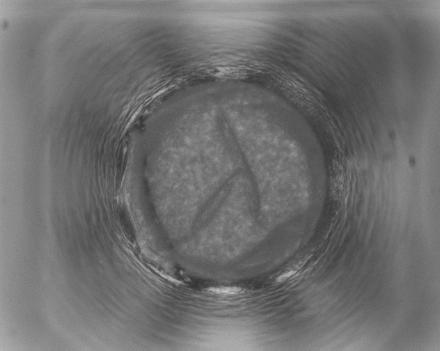 X0000053060748200508081153