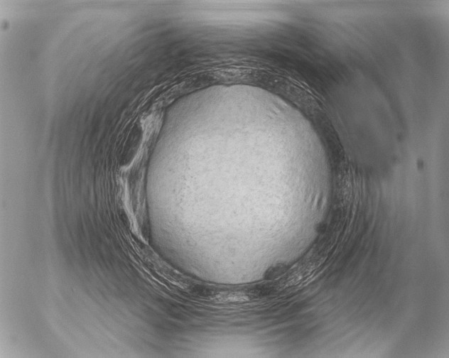 X0000053060749200508081153