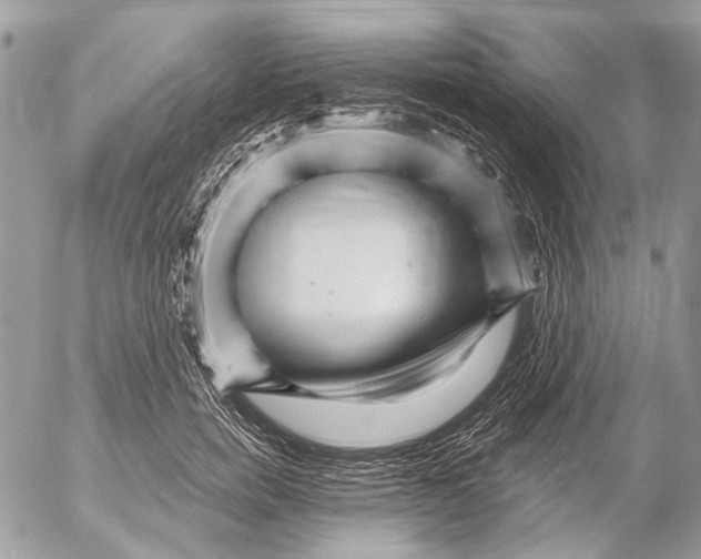 X0000053060750200508081153