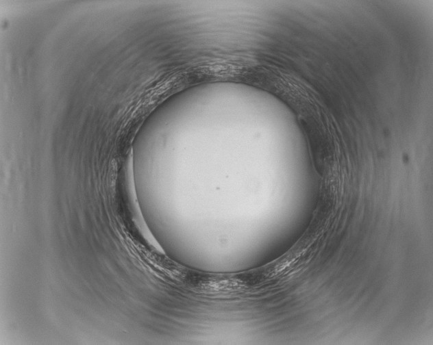 X0000053060752200508081153