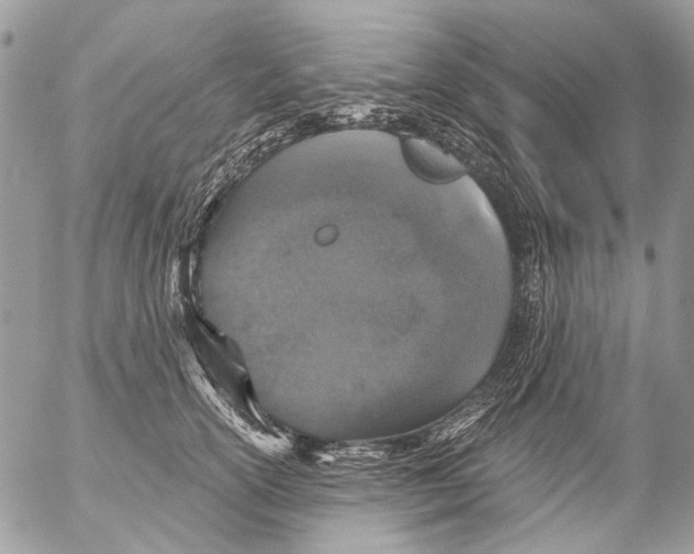 X0000053060754200508081154