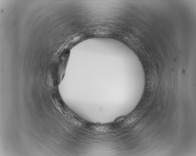 X0000053060755200508081154