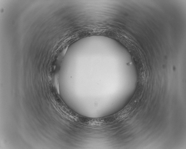 X0000053060756200508081154