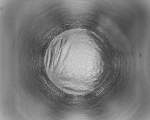 X0000053060757200508081154