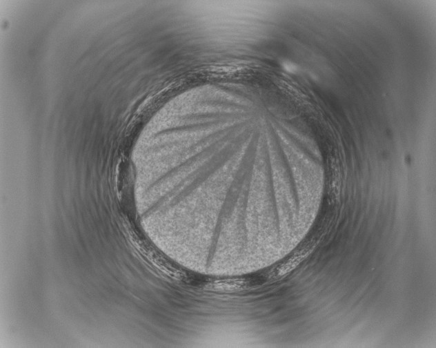 X0000053060758200508081154