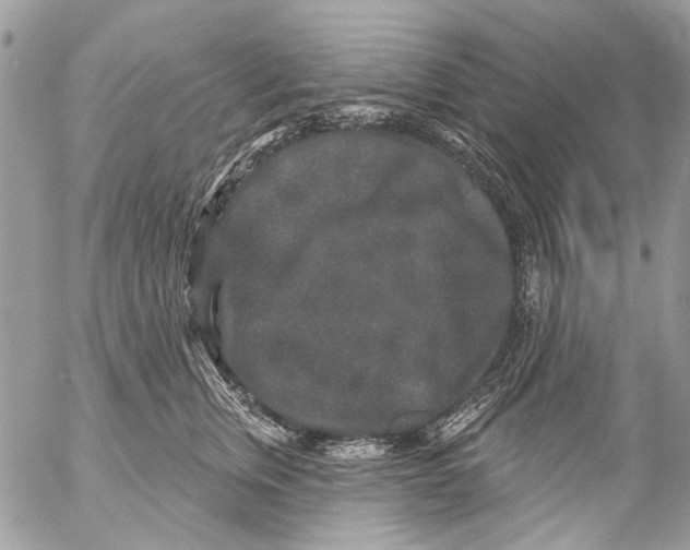 X0000053060759200508081154