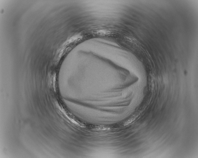 X0000053060760200508081154