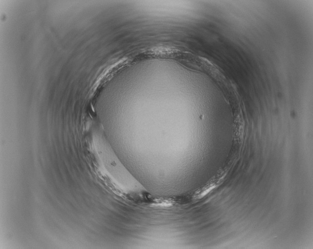 X0000053060762200508081154