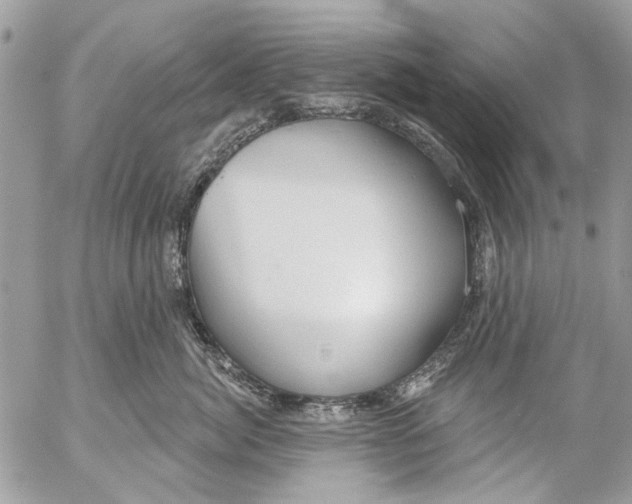 X0000053060764200508081154