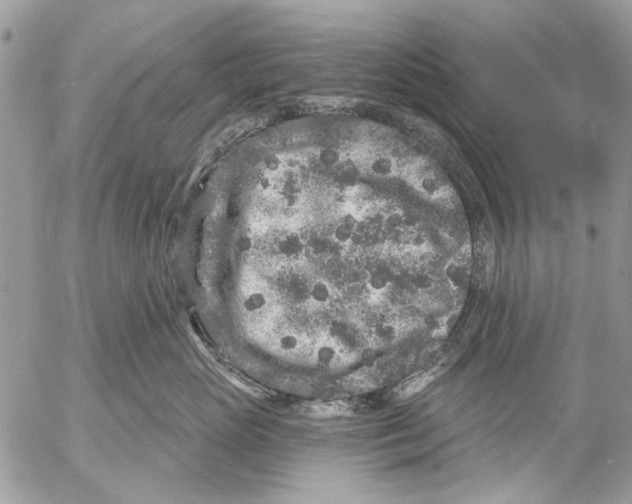 X0000053060765200508081154