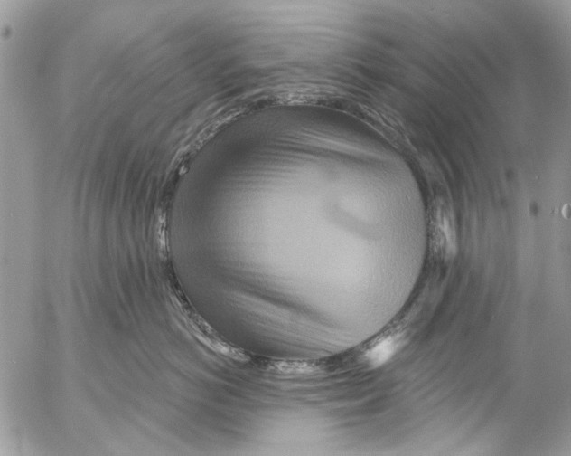 X0000053060766200508081154