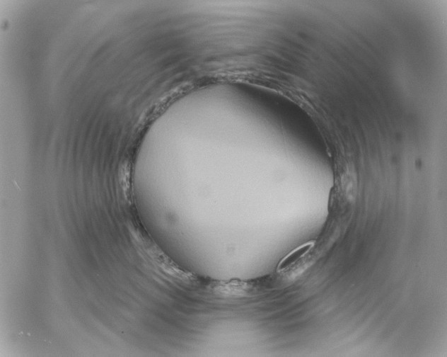 X0000053060767200508081154