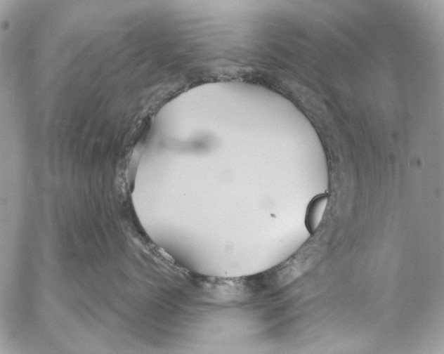 X0000053060768200508081154