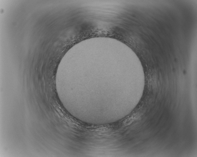 X0000053060769200508081153