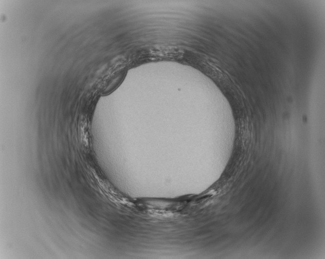 X0000053060770200508081153