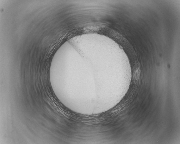 X0000053060772200508081153