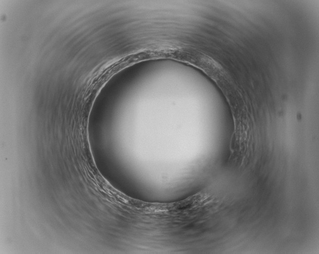 X0000053060773200508081153