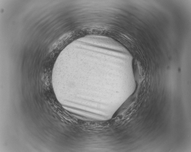 X0000053060774200508081153