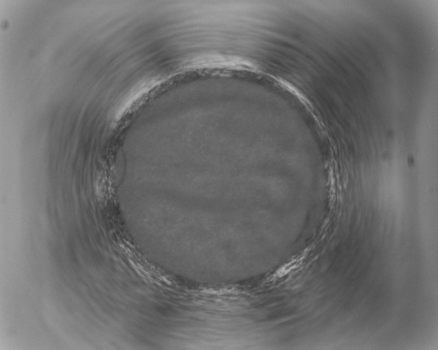 X0000053060775200508081153