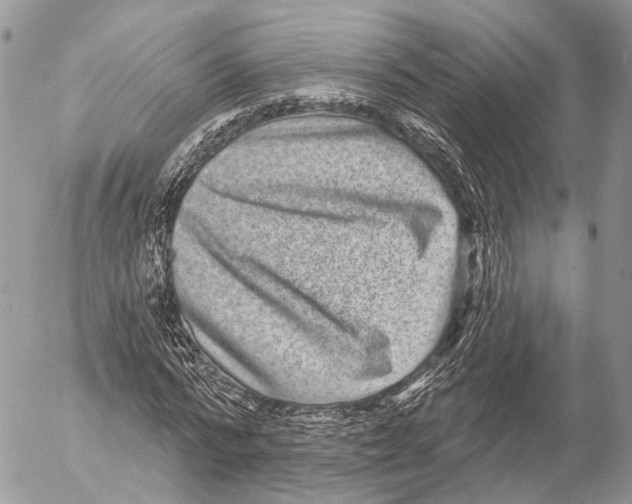 X0000053060776200508081153