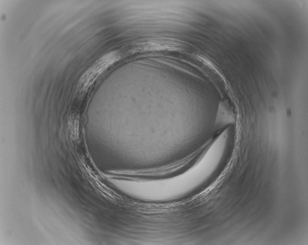 X0000053060777200508081153