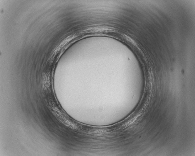 X0000053060778200508081153