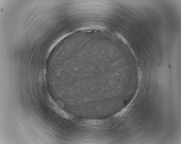 X0000053060779200508081153