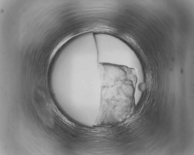 X0000053060780200508081153