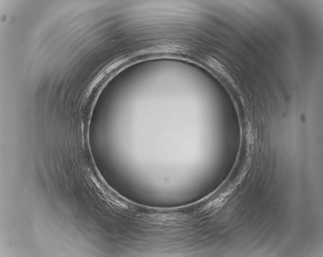 X0000053060781200508081153