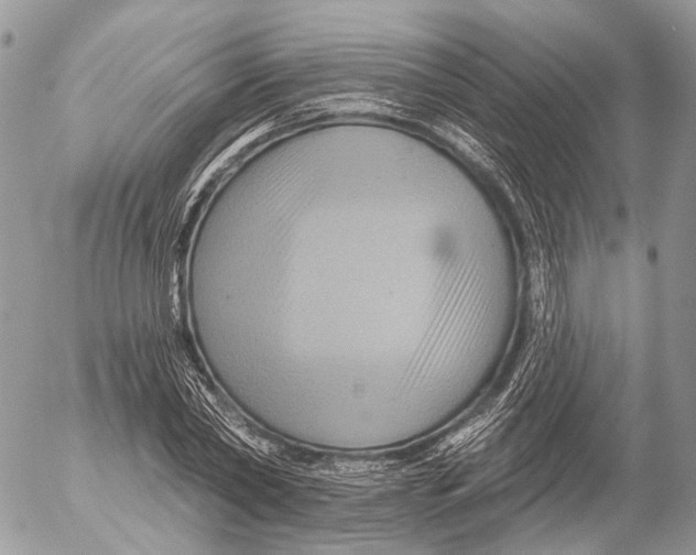 X0000053060782200508081153