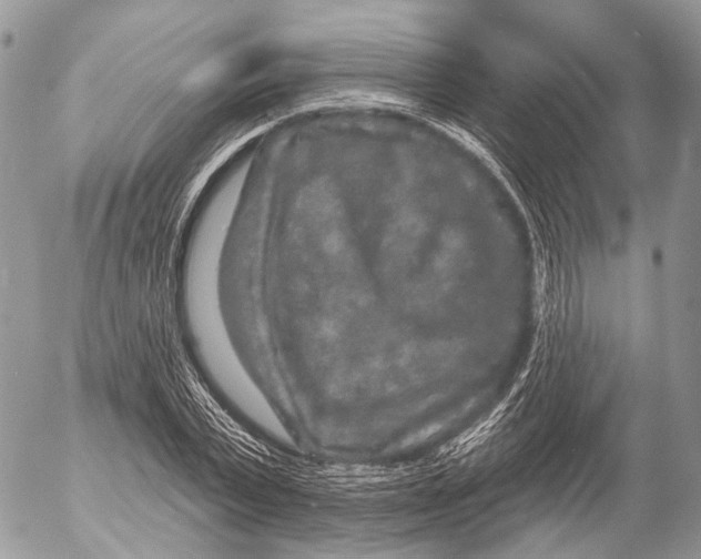 X0000053060783200508081153