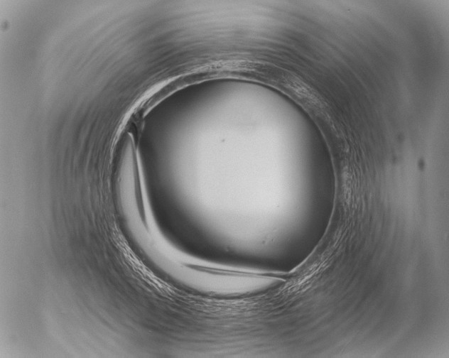 X0000053060784200508081153