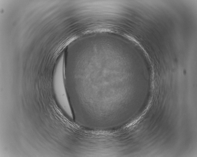 X0000053060785200508081153