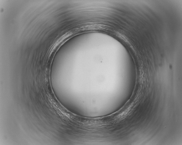 X0000053060786200508081153