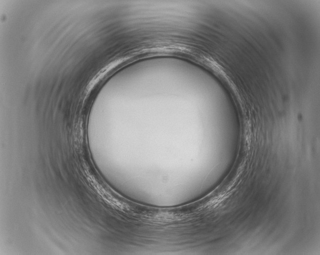 X0000053060787200508081153