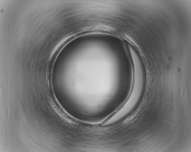 X0000053060788200508081153