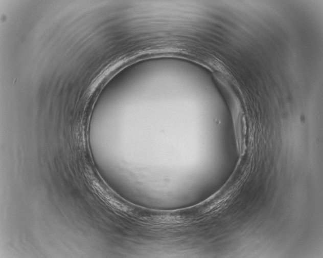 X0000053060789200508081153