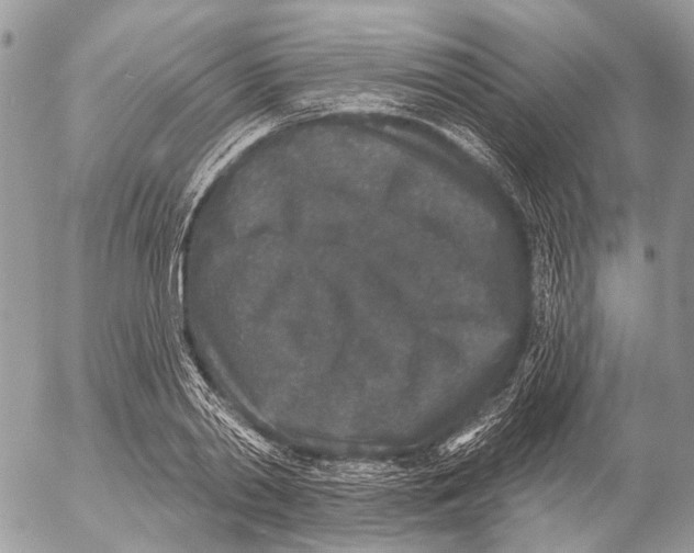 X0000053060790200508081153