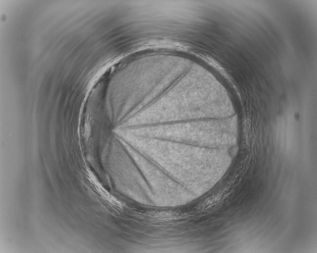 X0000053060791200508081153