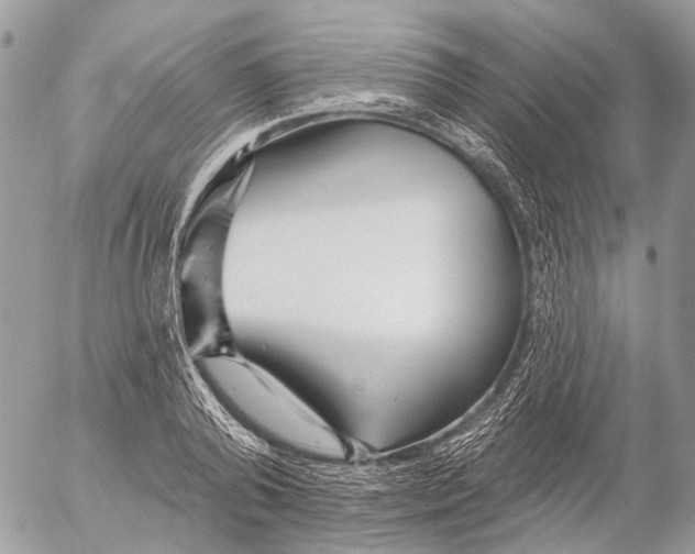 X0000053060792200508081153