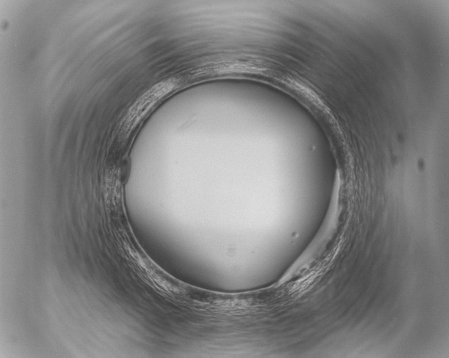 X0000053060793200508081153