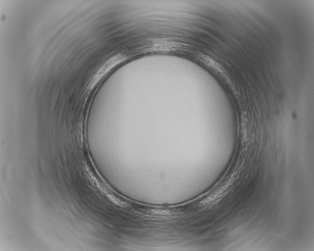 X0000053060794200508081153