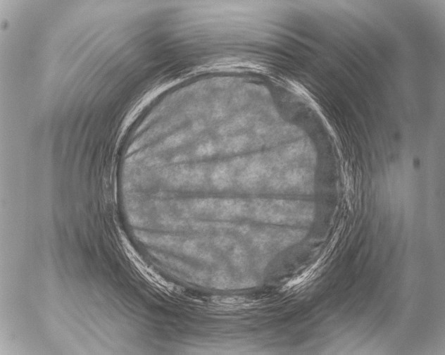 X0000053060795200508081153