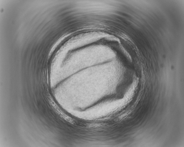 X0000053060796200508081153