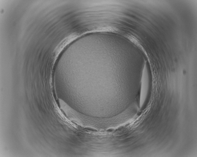 X0000053060797200508081152