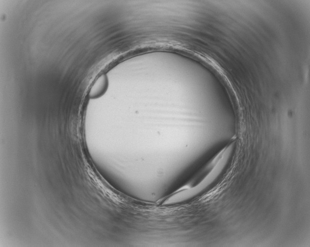 X0000053060799200508081152