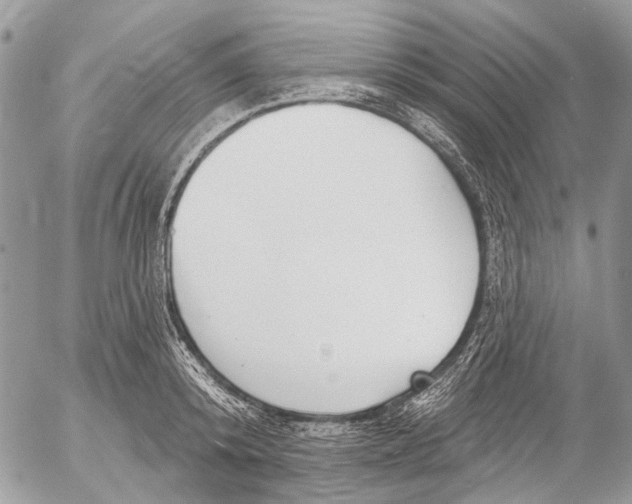 X0000053060800200508081152